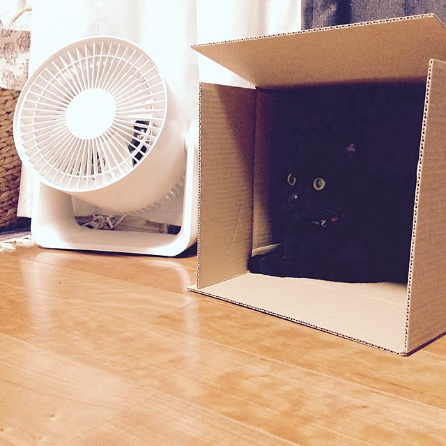 ALPSさんの実例写真