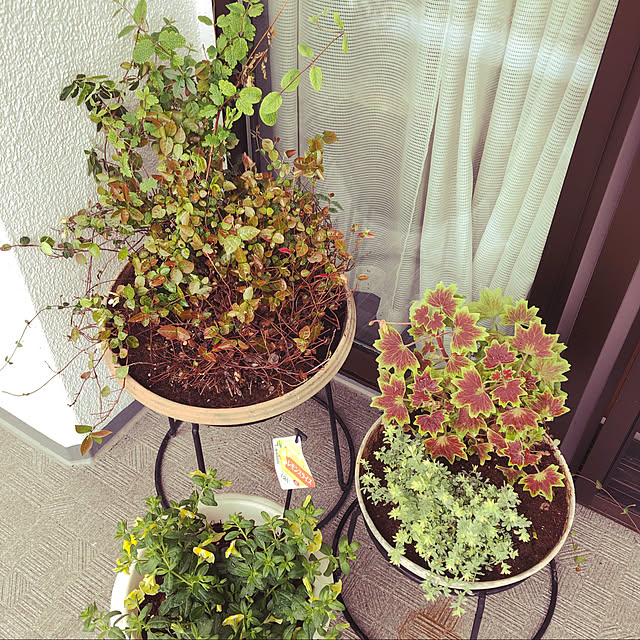 uchidaizuさんの実例写真