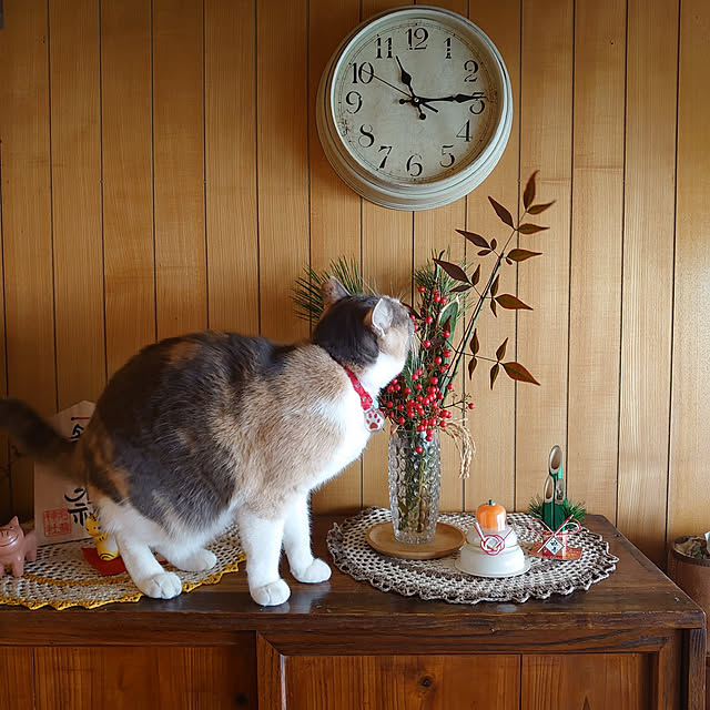 fukuさんの実例写真
