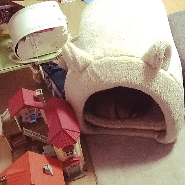 kotaさんの実例写真