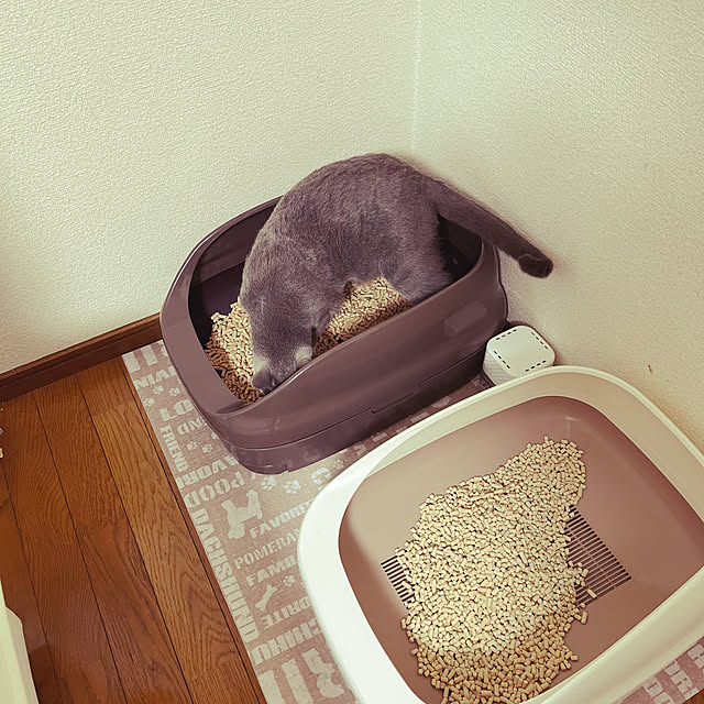 kyonさんの実例写真