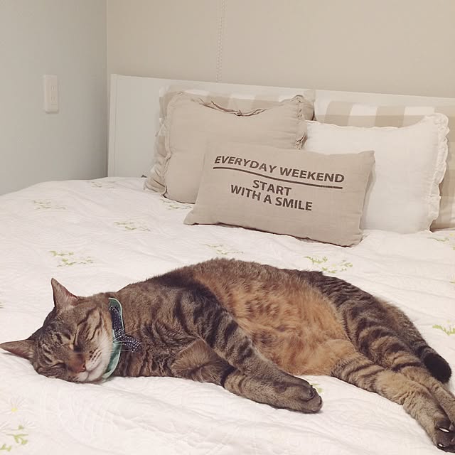 lovecatさんの実例写真