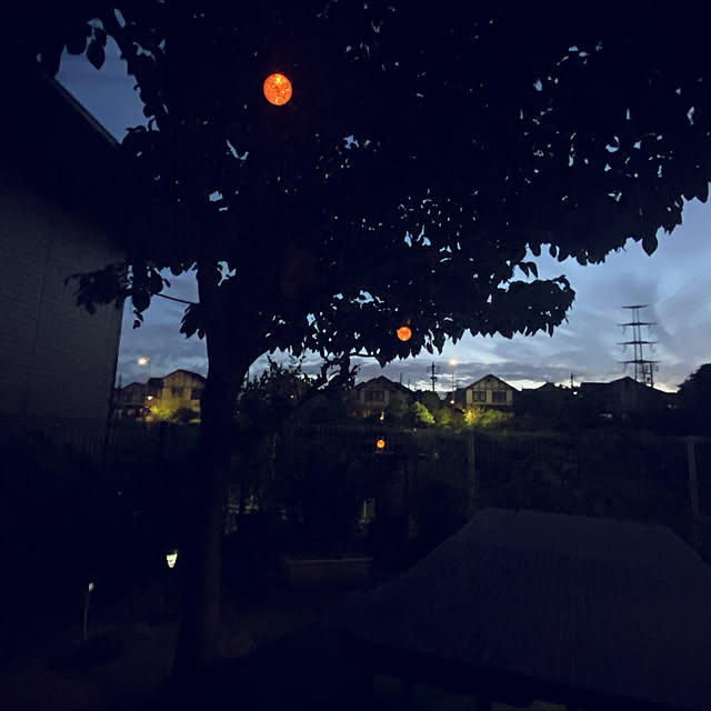 applepieさんの実例写真