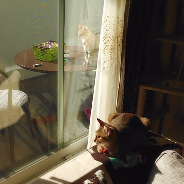1633さんの実例写真