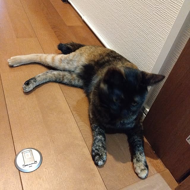 mamekoさんの部屋