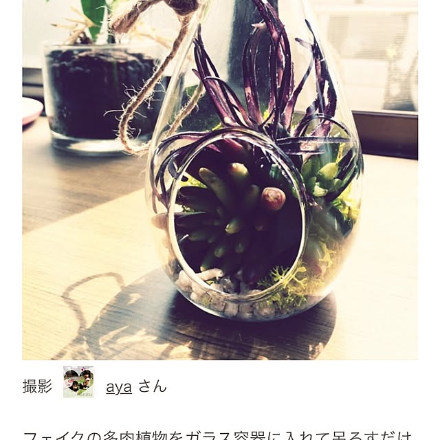ayaさんの実例写真