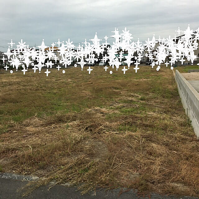 n.m.wsさんの実例写真