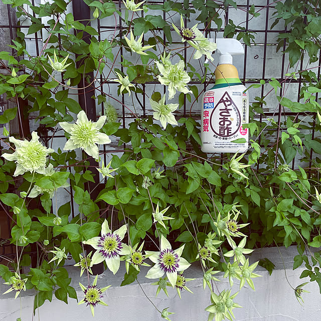 yupponさんの部屋