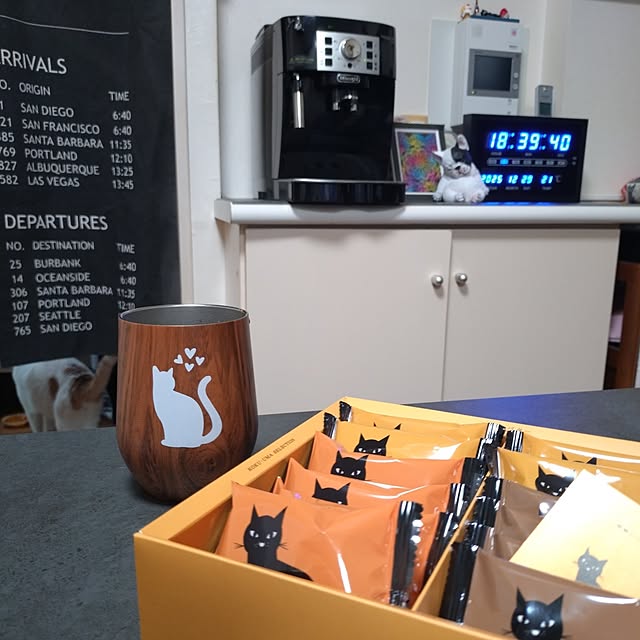 NOAHさんの実例写真