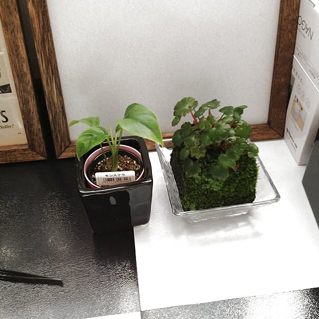 chicaさんの実例写真