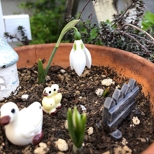 nakabaさんの実例写真