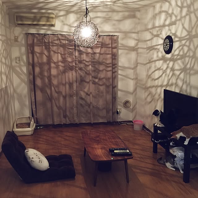 haney07さんの実例写真