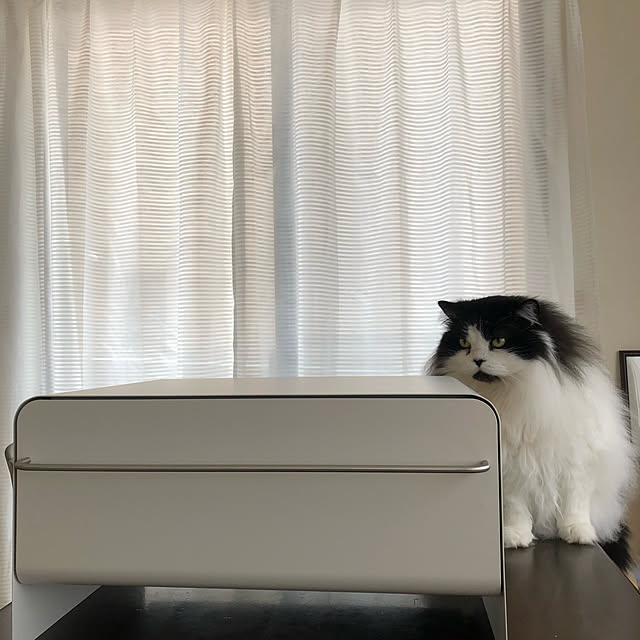 reonさんの実例写真