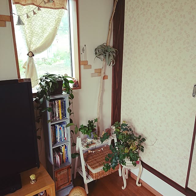 akiさんの実例写真