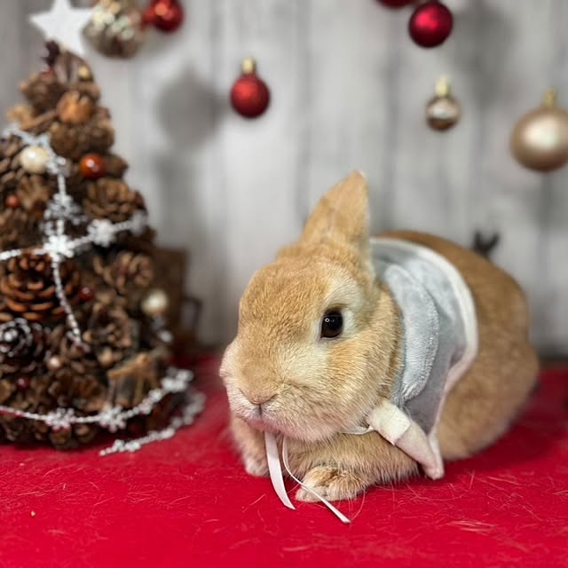 aiさんの部屋
