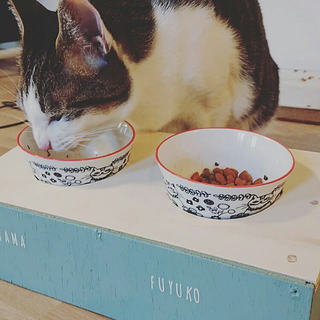 mikoichiさんの実例写真