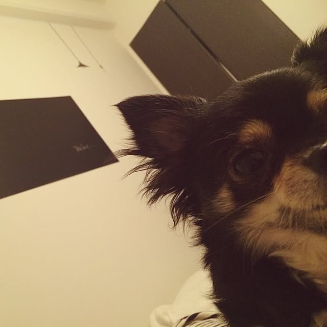 riechocoさんの実例写真
