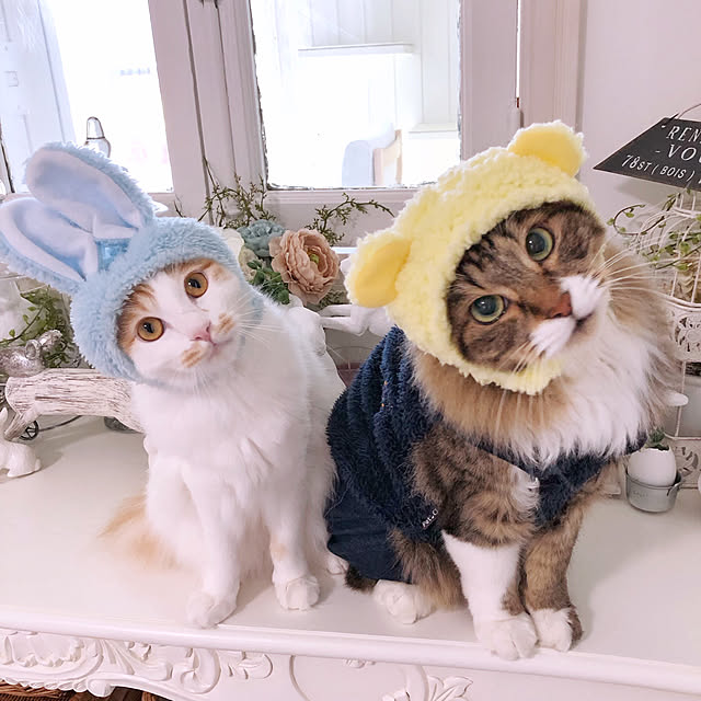 yuchiさんの実例写真