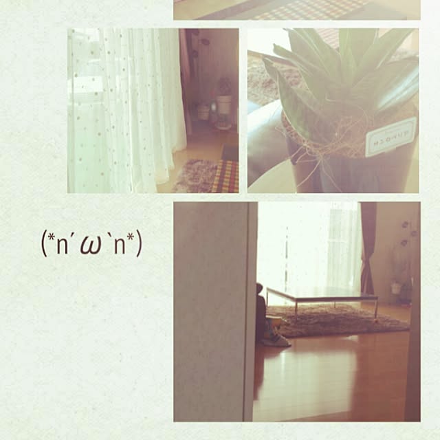 Kimikoさんの実例写真