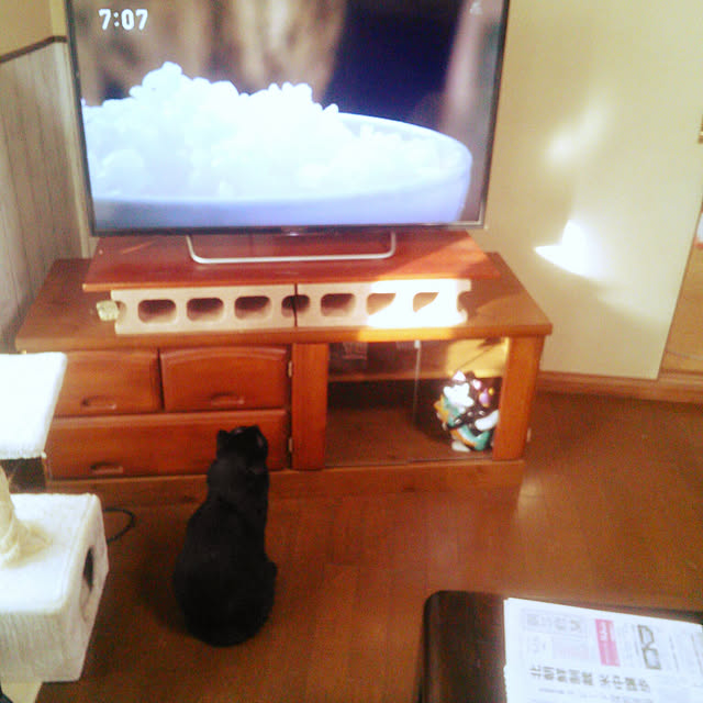 Tomopさんの実例写真