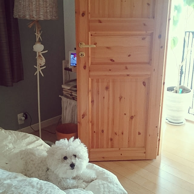 musaさんの実例写真