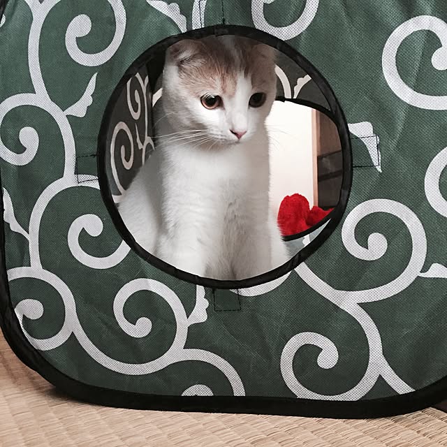 onojiijiさんの実例写真