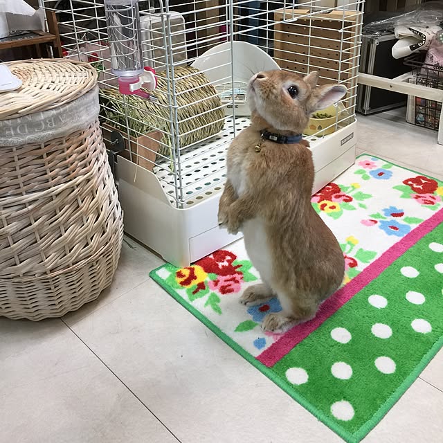 Yasuyukiさんの実例写真