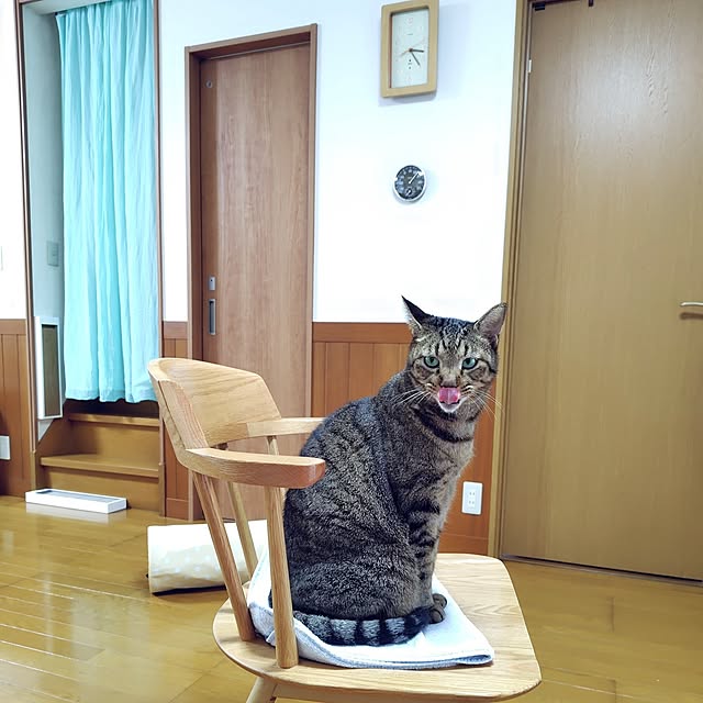 nachiさんの部屋