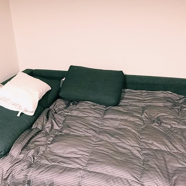 Ippeiさんの実例写真