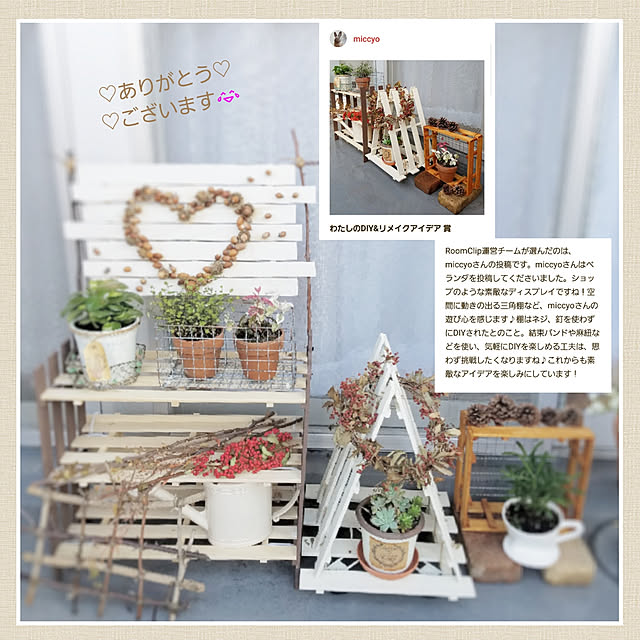 miccyoさんの実例写真