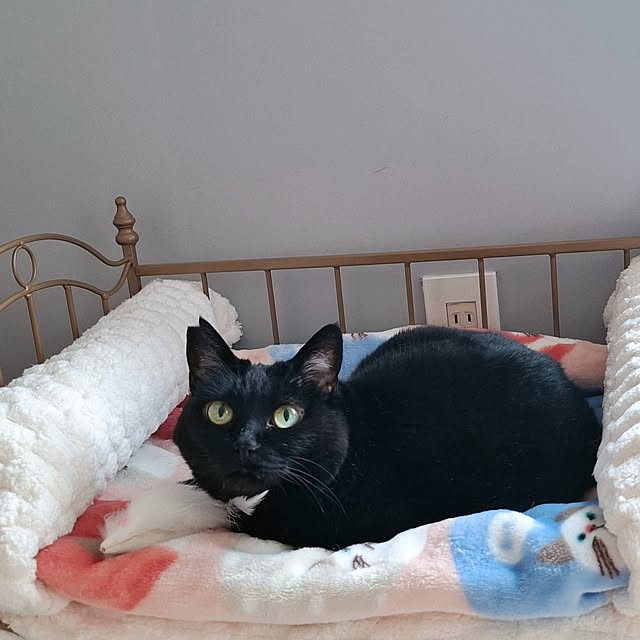 moko.7525himeさんの部屋