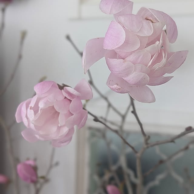 fumitanさんの部屋