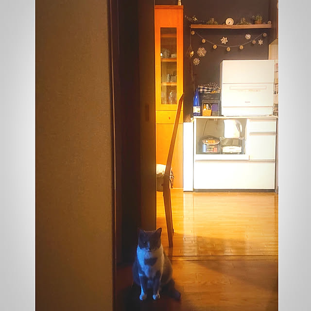 chondyさんの実例写真