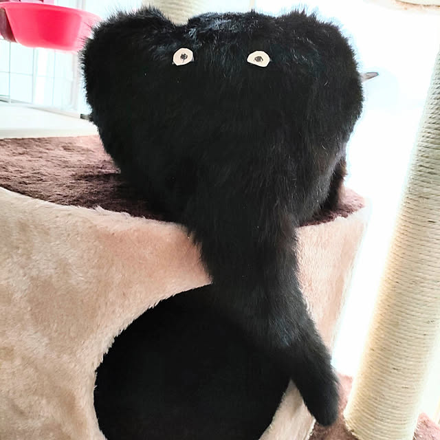 arasannさんの実例写真