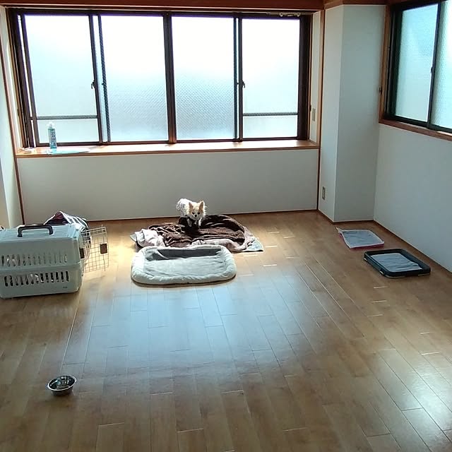 toratanさんの実例写真