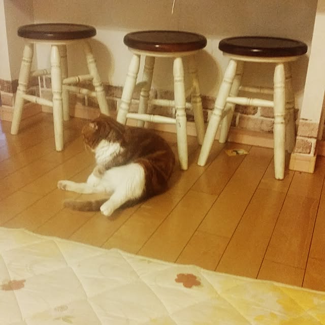anadorunaさんの実例写真