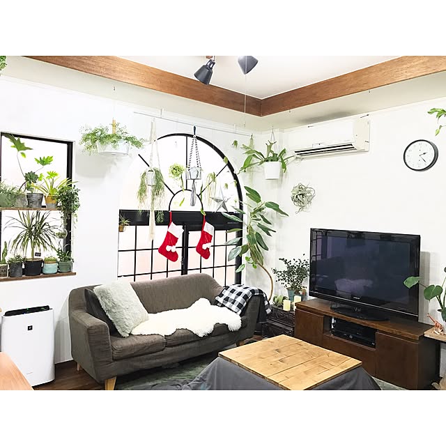 kiki_nekkoさんの実例写真