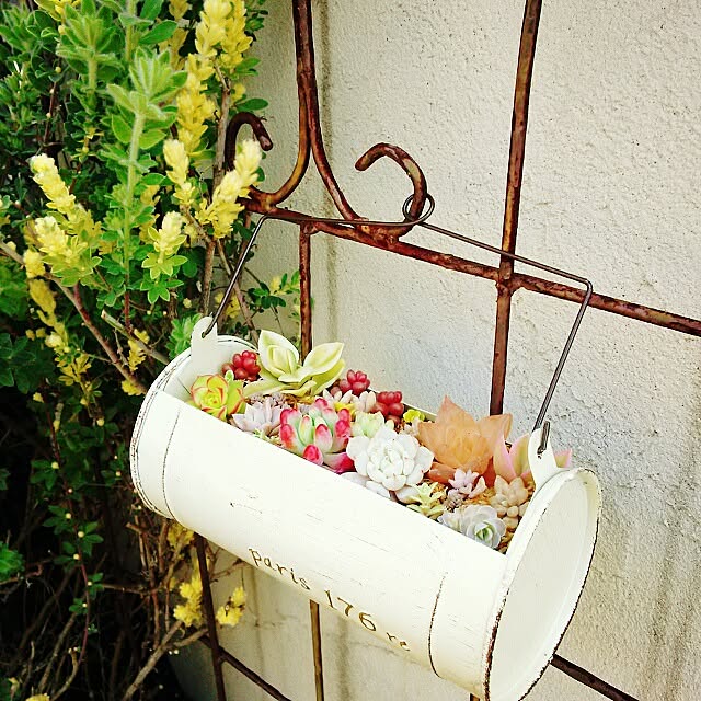 mieさんの実例写真