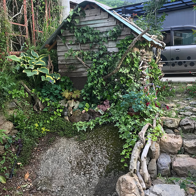 pepeさんの実例写真