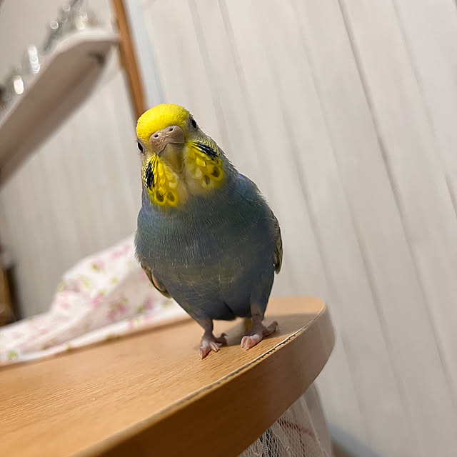 Atsukoさんの部屋