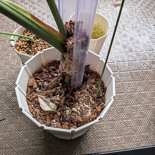 kolo92さんの部屋