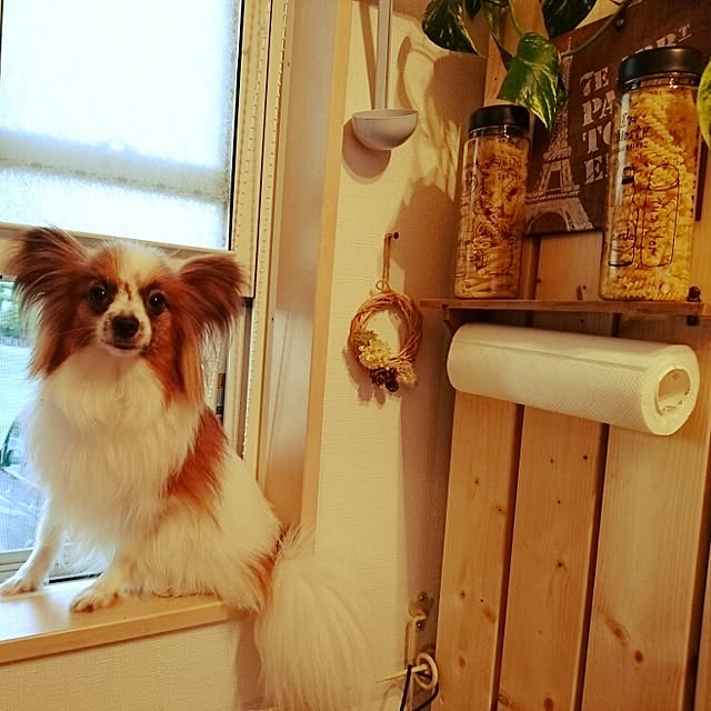 HachIさんの実例写真