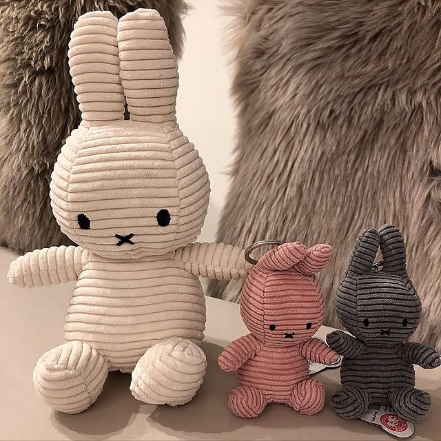 minRinさんの実例写真