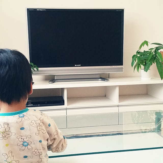 テレビ台/シンプル/観葉植物/テレビ/リビングのインテリア実例 - 2015-10-10 07:14:53