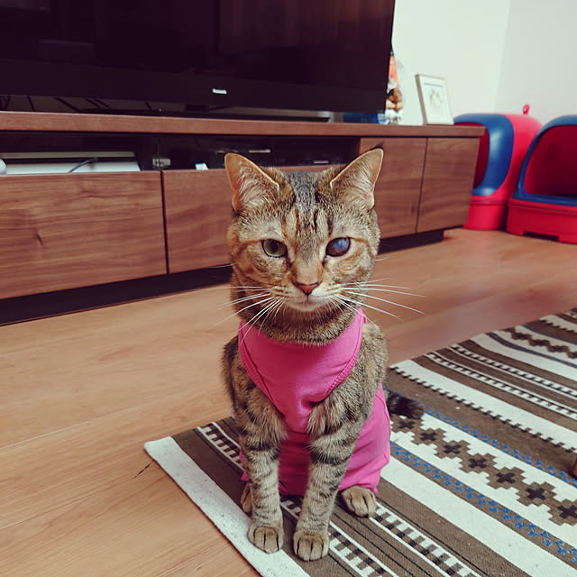 mochicoさんの実例写真