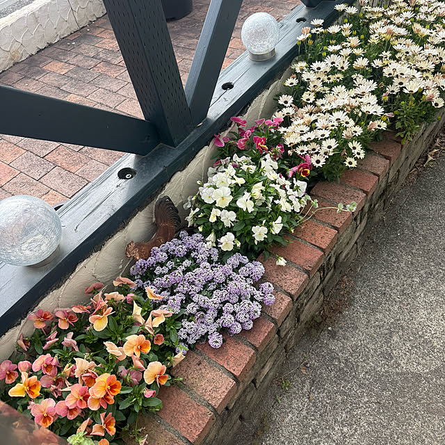 sachieyさんの部屋