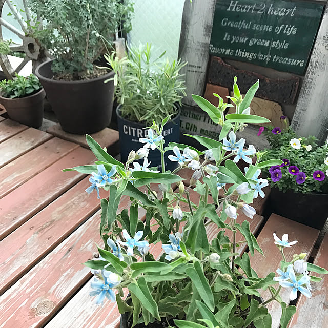 Unokiさんの実例写真