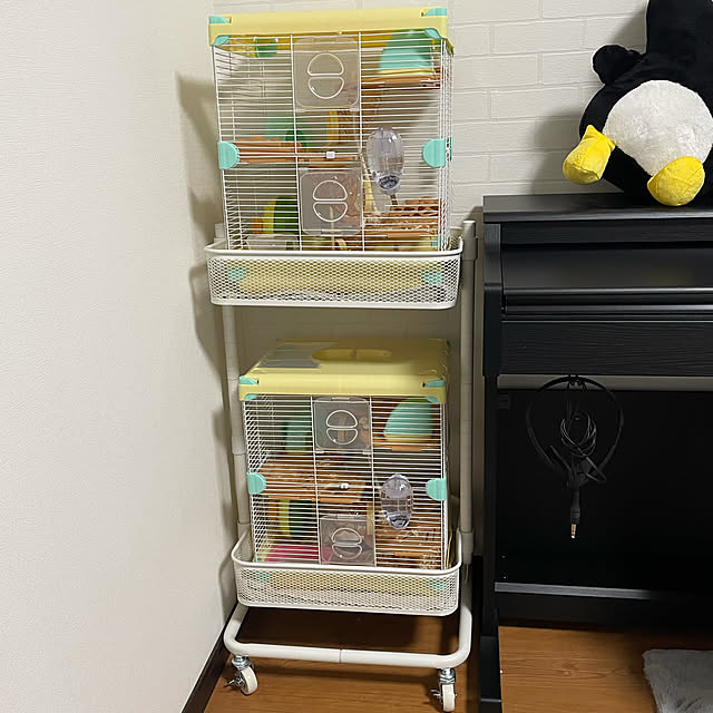 ogattiさんの実例写真
