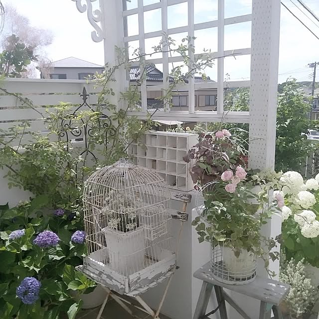 kiyosukeさんの部屋