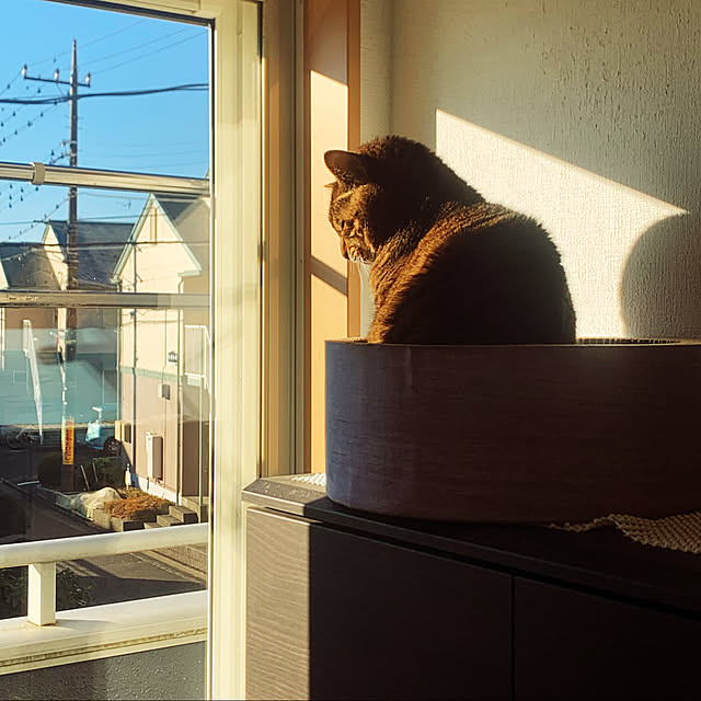 mohimikanさんの実例写真